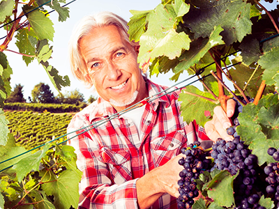 Bodega Valdevina